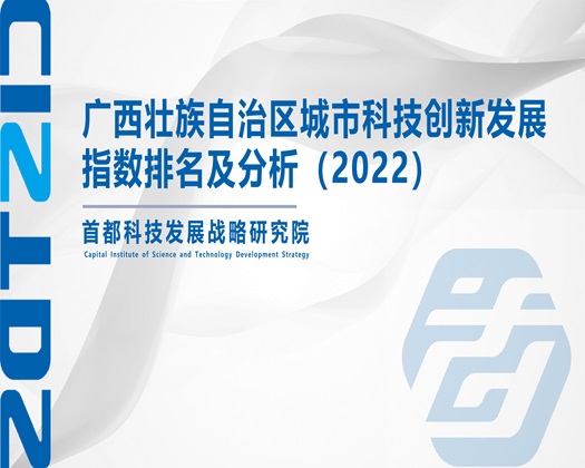 黄色日逼爽啊视频【成果发布】广西壮族自治区城市科技创新发展指数排名及分析（2022）